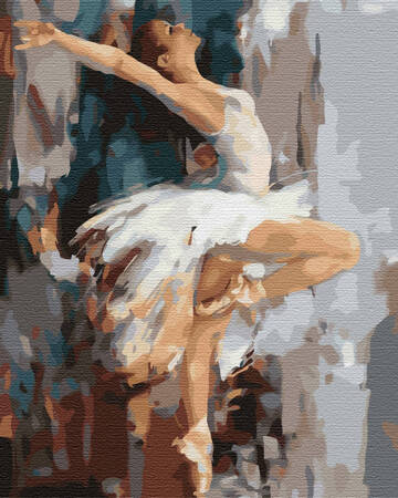 Biały Łabędź Malowanie Po Numerach Baletnica W Tańcu