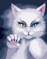 Biały kotek Obraz Do Malowania Po Numerach