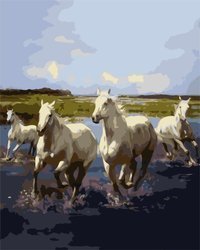 Biegnące Białe Konie Malowanie Po Numerach