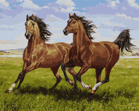Biegnące Konie Malowanie po numerach