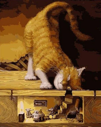 Ciekawy kot Obraz Do Malowania Po Numerach