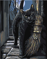 Czarny kot Obraz Do Malowania Po Numerach