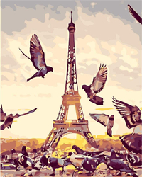 Gołębie w Paryżu Obraz Do Malowania Po Numerach