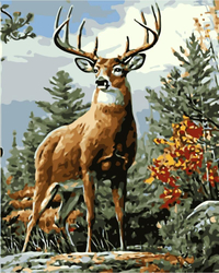 Jeleń leśny Obraz Do Malowania Po Numerach