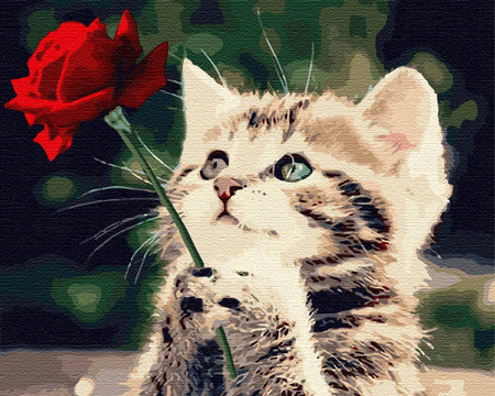 Kociak z różą Obraz Do Malowania Po Numerach