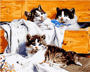 Kocięta W Szufladzie Obraz Do Malowania Po Numerach