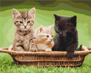 Kocięta w koszyku Obraz Do Malowania Po Numerach