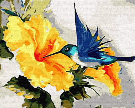 Kolibry i kwiaty Obraz Do Malowania Po Numerach