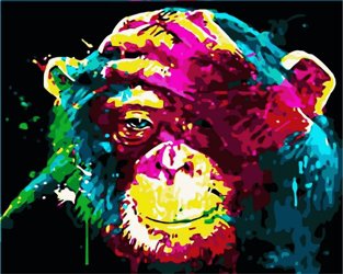 Kolorowa małpa Obraz Do Malowania Po Numerach