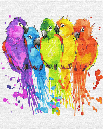 Kolorowe papużki Malowanie po numerach