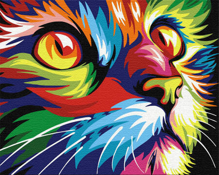 Kolorowy Kot Malowanie Po Numerach