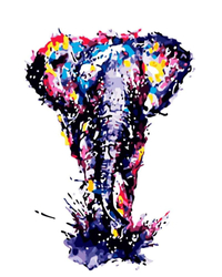 Kolorowy słoń Obraz Do Malowania Po Numerach