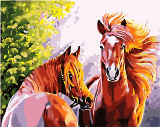 Konie Obraz Do Malowania Po Numerach