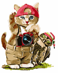Kot Turysta Obraz Do Malowania Po Numerach