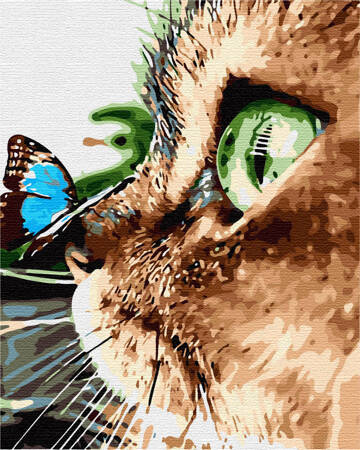 Kot i motyl Obraz Do Malowania Po Numerach