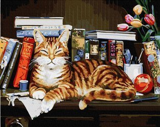 Kot na półce z książkami Malowanie po numerach