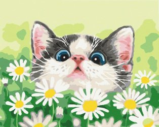Kot w stokrotkach Obraz Do Malowania Po Numerach