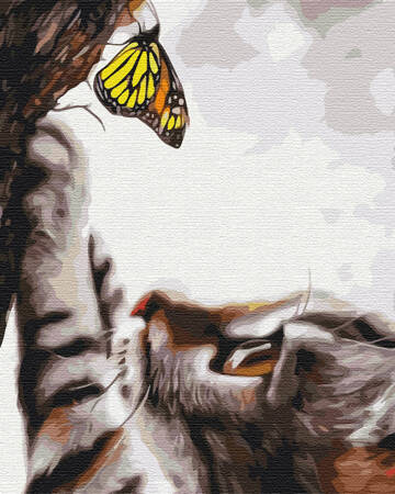 Kotek i Motyl Malowanie Po Numerach