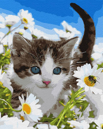 Kotek w polu rumianków Malowanie po numerach