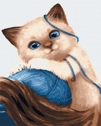 Kotek z piłką Obraz Do Malowania Po Numerach