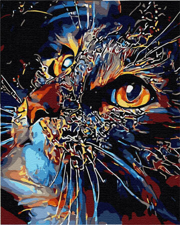 Magiczny kot Obraz Do Malowania Po Numerach