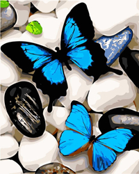 Motyle Obraz Do Malowania Po Numerach