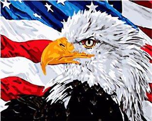 Orzeł Bielik Amerykański Z Flagą Obraz Do Malowania Po Numerach