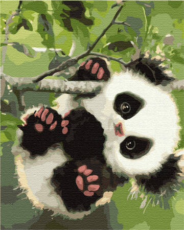 Panda Na Gałęzi Malowanie Po Numerach