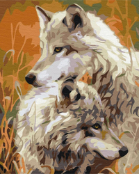 Para wilków stepowych Obraz Do Malowania Po Numerach