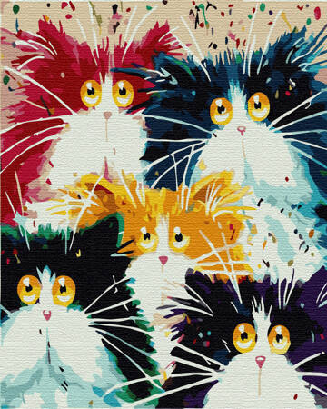 Pięć Kolorowych Kotów Malowanie Po Numerach
