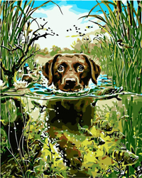 Pies w wodzie Obraz Do Malowania Po Numerach