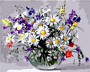Polne kwiaty Obraz Do Malowania Po Numerach