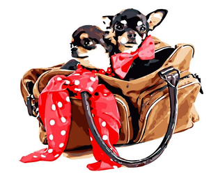 Psy w torbie Obraz Do Malowania Po Numerach