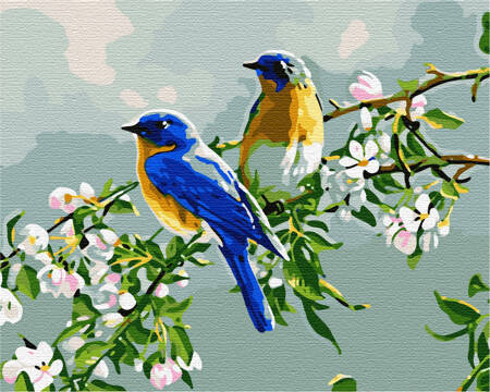 Ptaki Obraz Do Malowania Po Numerach