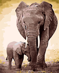 Rodzina słoni Obraz Do Malowania Po Numerach