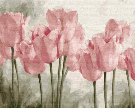 Różowe Tulipany Malowanie Po Numerach