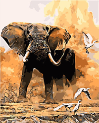 Słoń I Ptaki Obraz Do Malowania Po Numerach