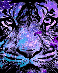 Surowy wygląd tygrysa Obraz Do Malowania Po Numerach