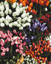 Targi tulipanów Obraz Do Malowania Po Numerach