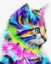 Tęczowy Kot Malowanie Po Numerach