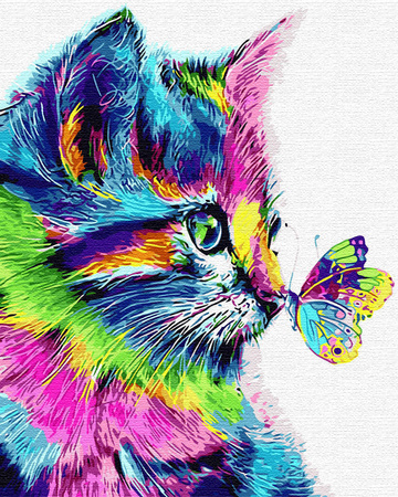 Tęczowy Kot Z Motylem Malowanie Po Numerach