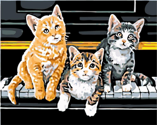 Trzy kocięta Obraz Do Malowania Po Numerach