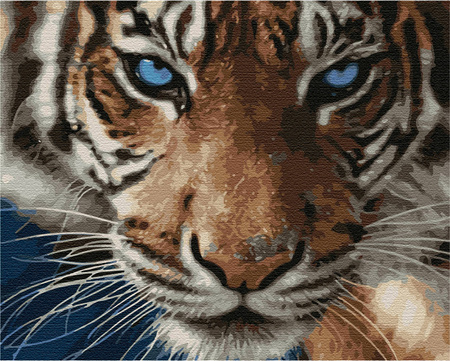 Tygrys Malowanie Po Numerach