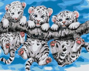 Tygryski na gałęzi Obraz Do Malowania Po Numerach