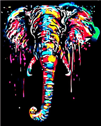 Wielobarwny słoń Obraz Do Malowania Po Numerach