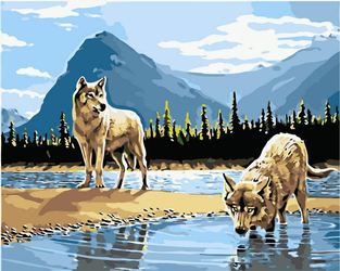 Wilki w jeziorze Obraz Do Malowania Po Numerach