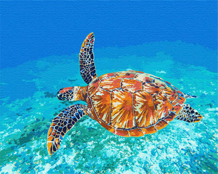 Żółw w oceanie Obraz Do Malowania Po Numerach