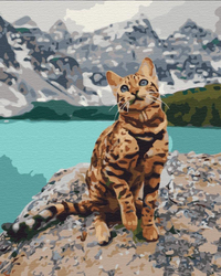 Zwierzak w górach Obraz Do Malowania Po Numerach