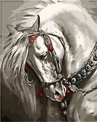 biały koń Obraz Do Malowania Po Numerach