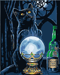 kot czarnoksiężnika Obraz Do Malowania Po Numerach